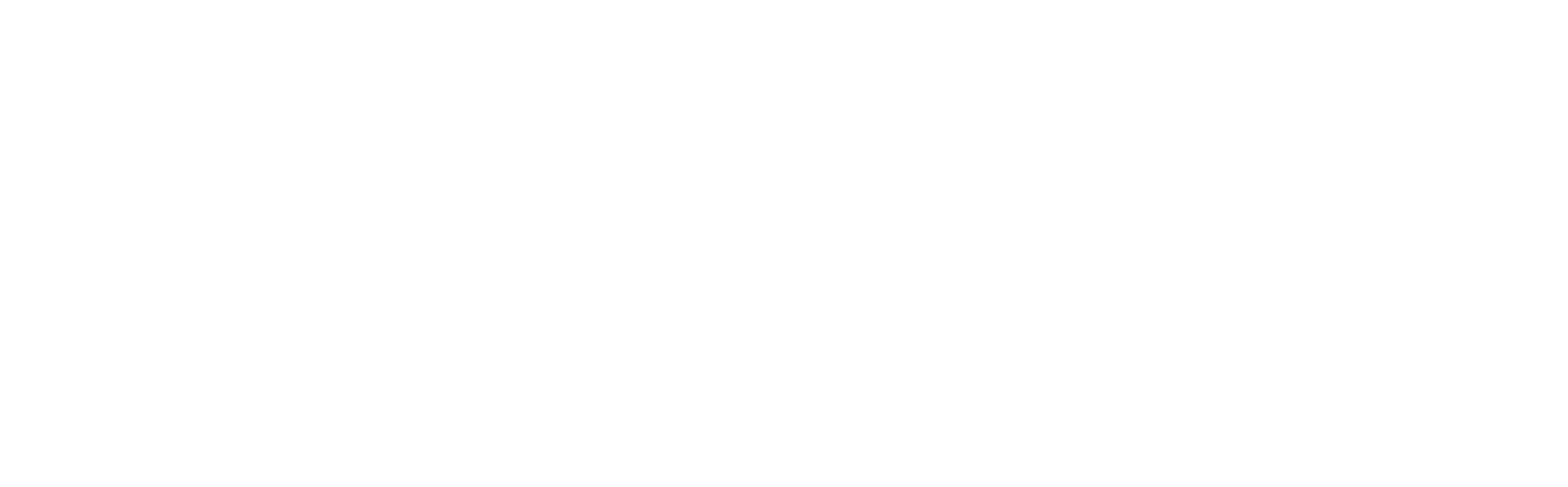 Wellesley Investment Advisors